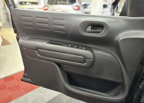 Citroën C4 CACTUS FEEL 1.6 16V Flex Aut. 2022 Flex