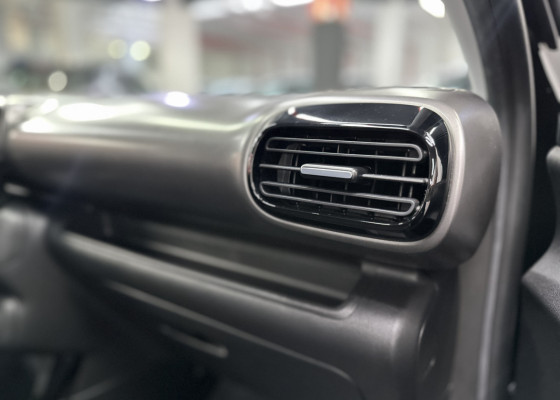 Citroën C4 CACTUS FEEL 1.6 16V Flex Aut. 2022 Flex