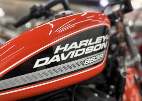 HARLEY-DAVIDSON XL 883 R 2008 Gasolina