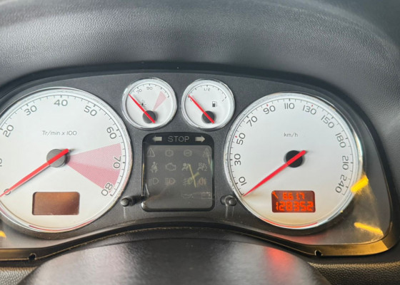 Peugeot 307 Feline/Griff/Premi. 2.0 Flex 5p Aut. 2007 Flex