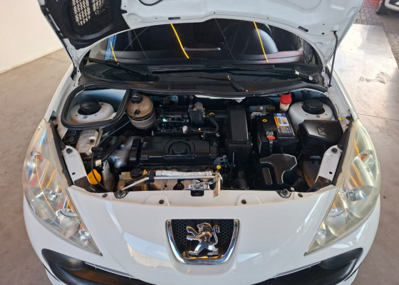 Peugeot 207 SW XR 1.4 Flex 8V 5p 2011 Flex