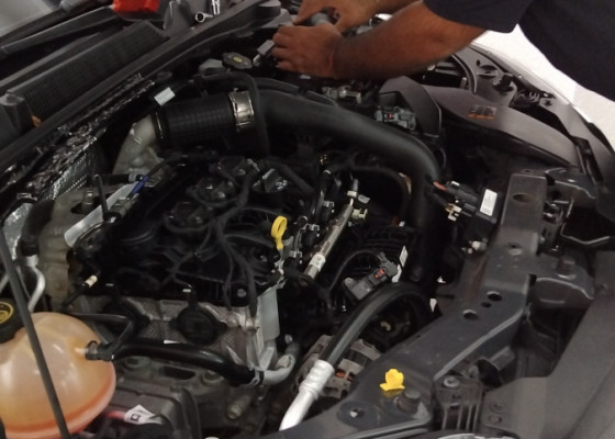 Ford Ka 1.0 SE/SE Plus TiVCT Flex 5p 2021 Flex